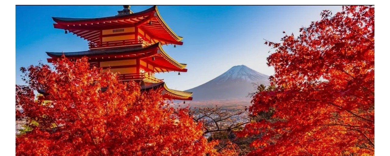 Matteo e Teresa's Wedding